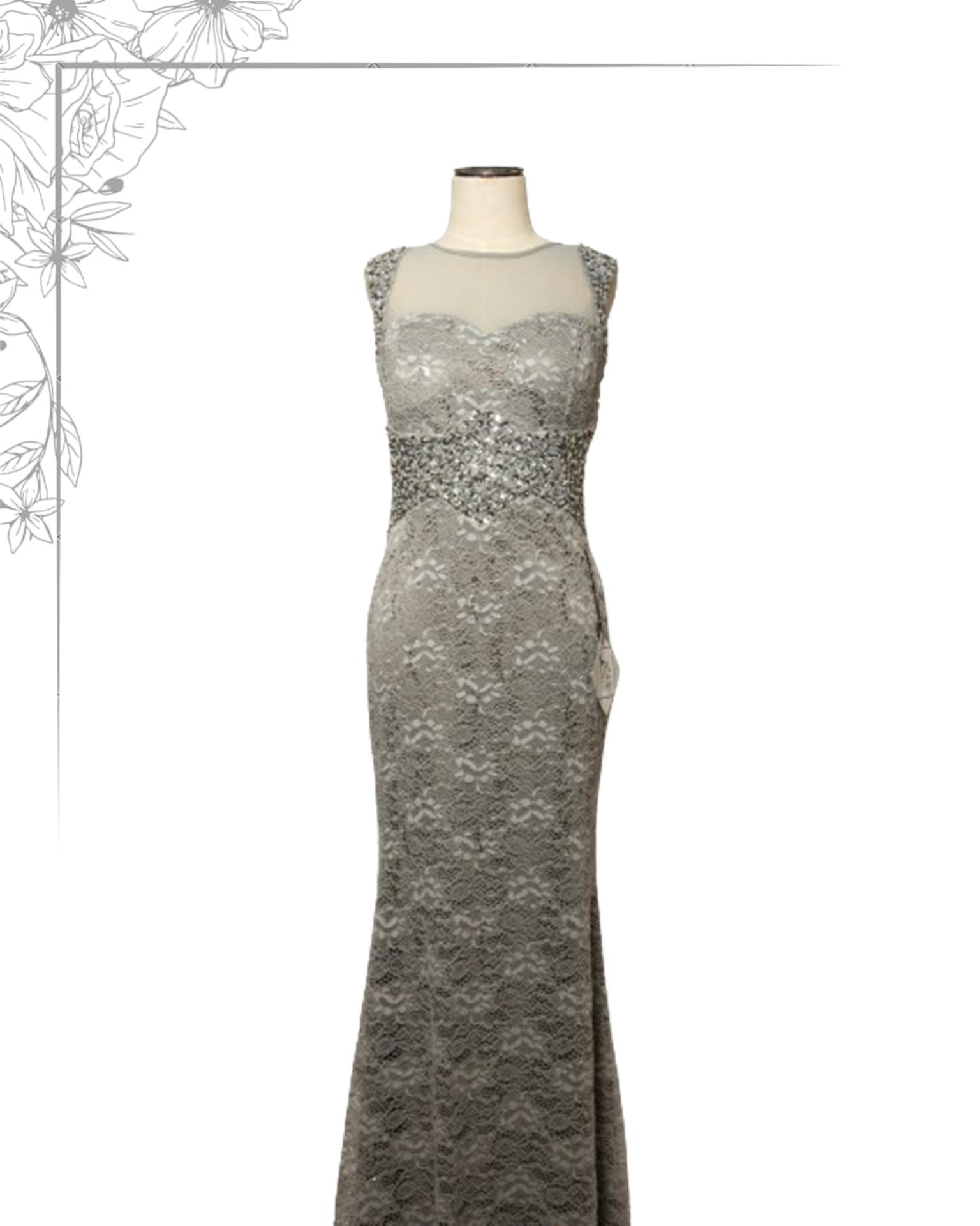 Silver floor length dress