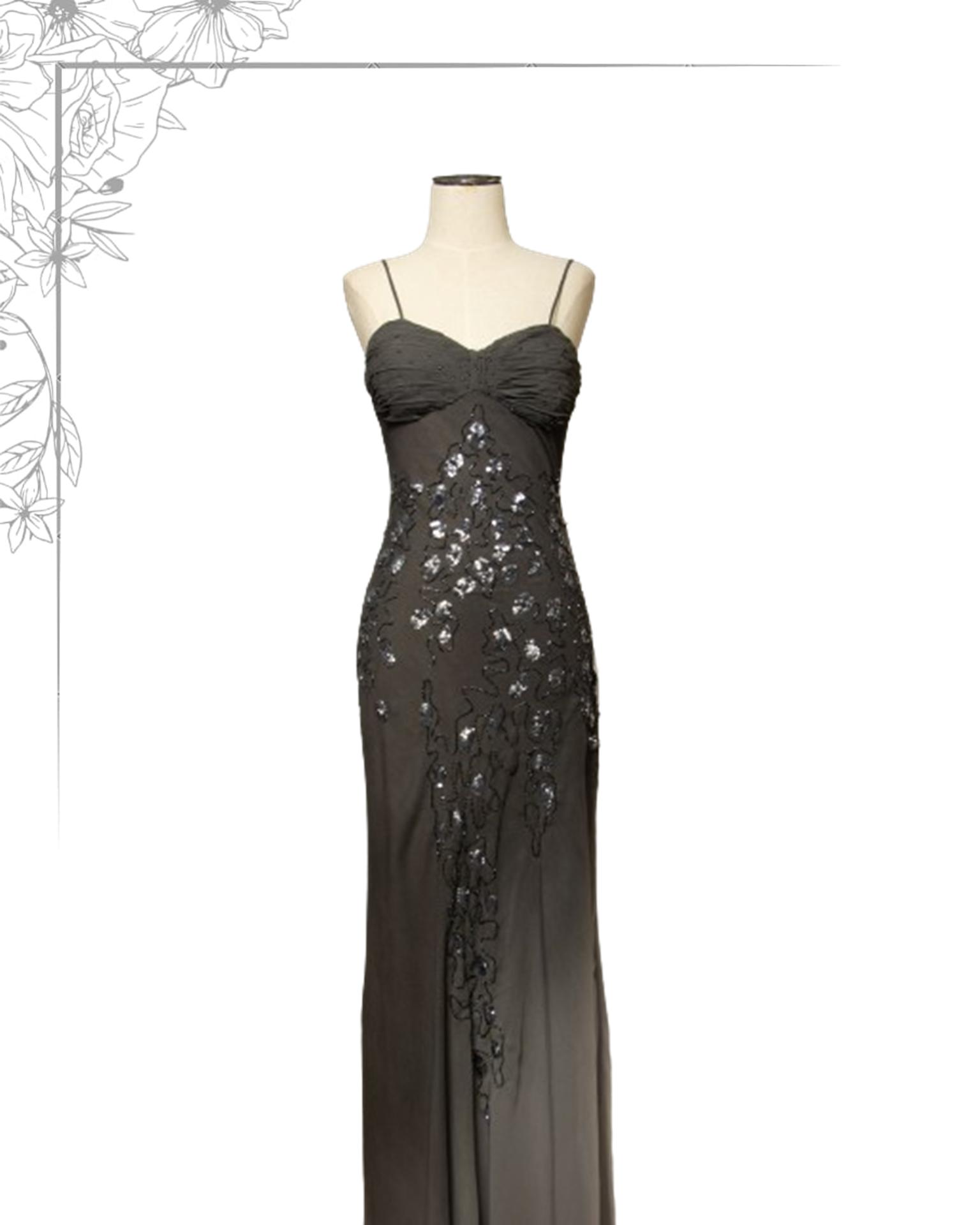 Silver floor length dress